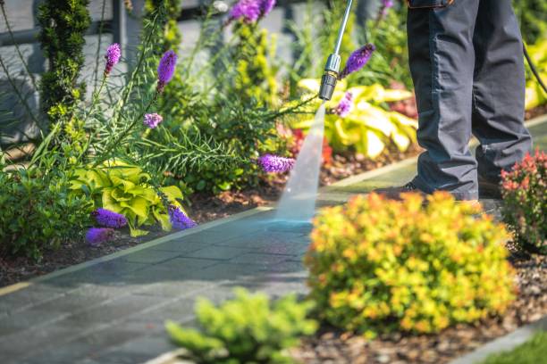 Best Driveway Pressure Washing  in Glen Rock, PA